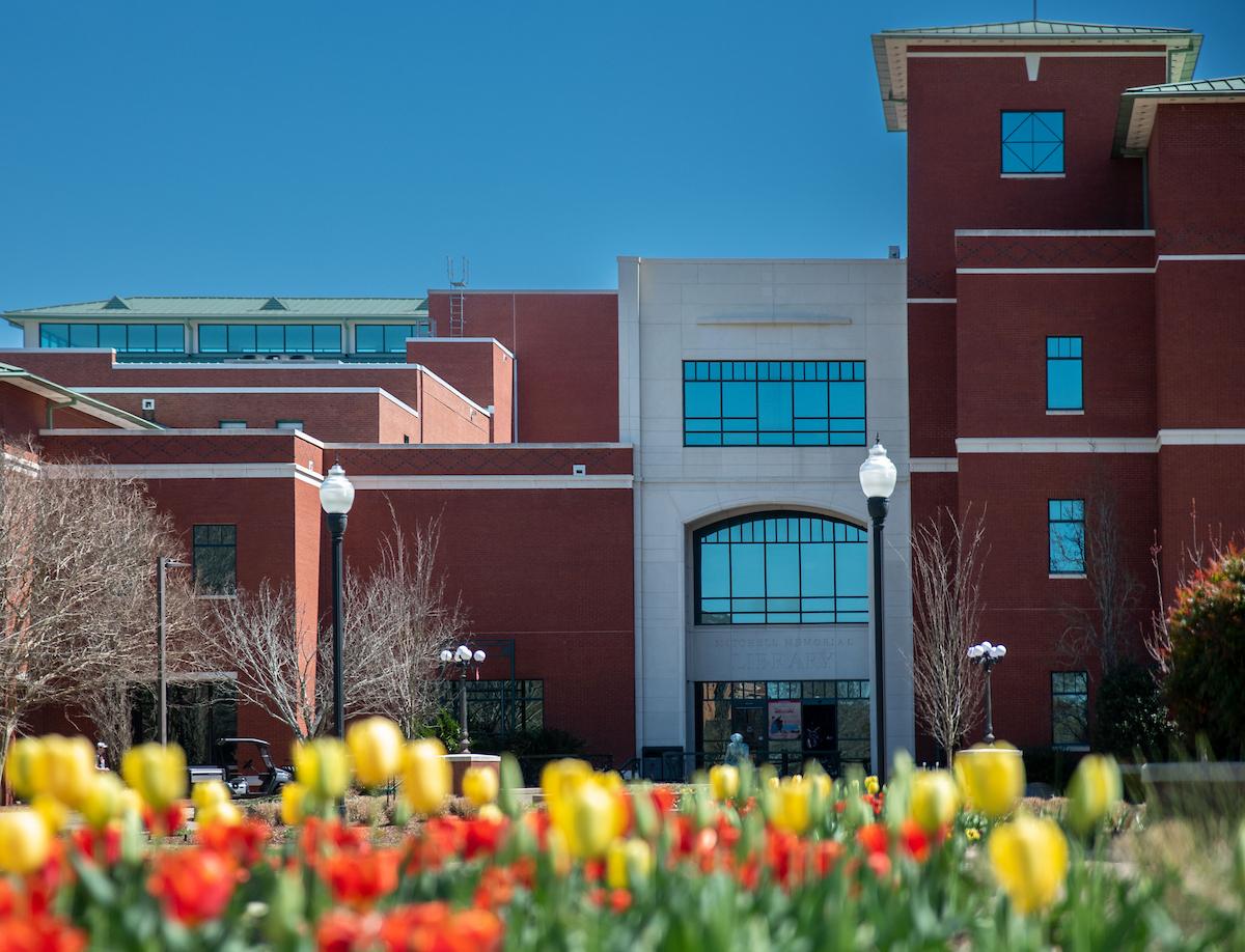 Tulips blooming in front of MSU's Mitchell Memorial Library