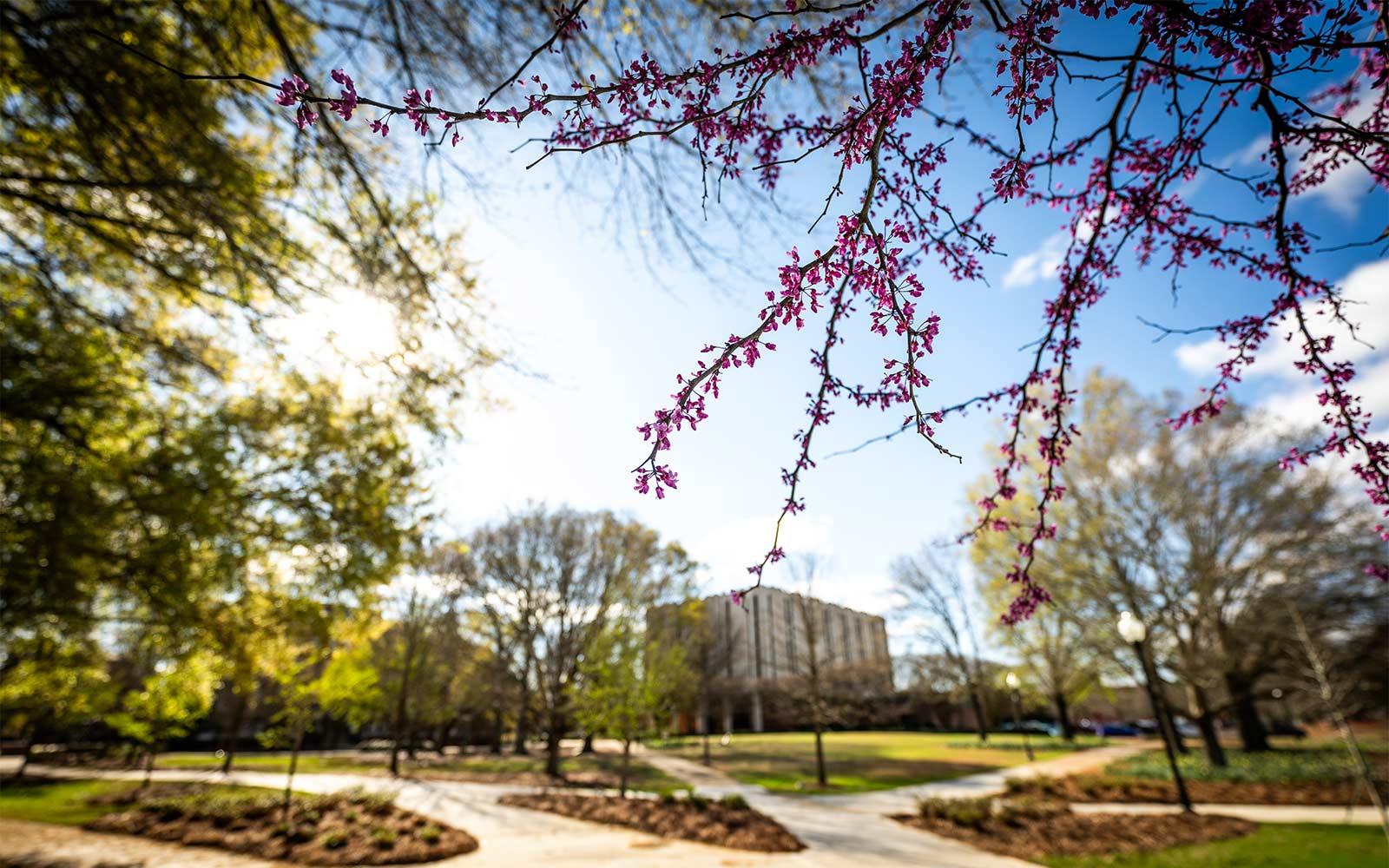 MSU, partners receive East Mississippi Sentinel Landscape Designation