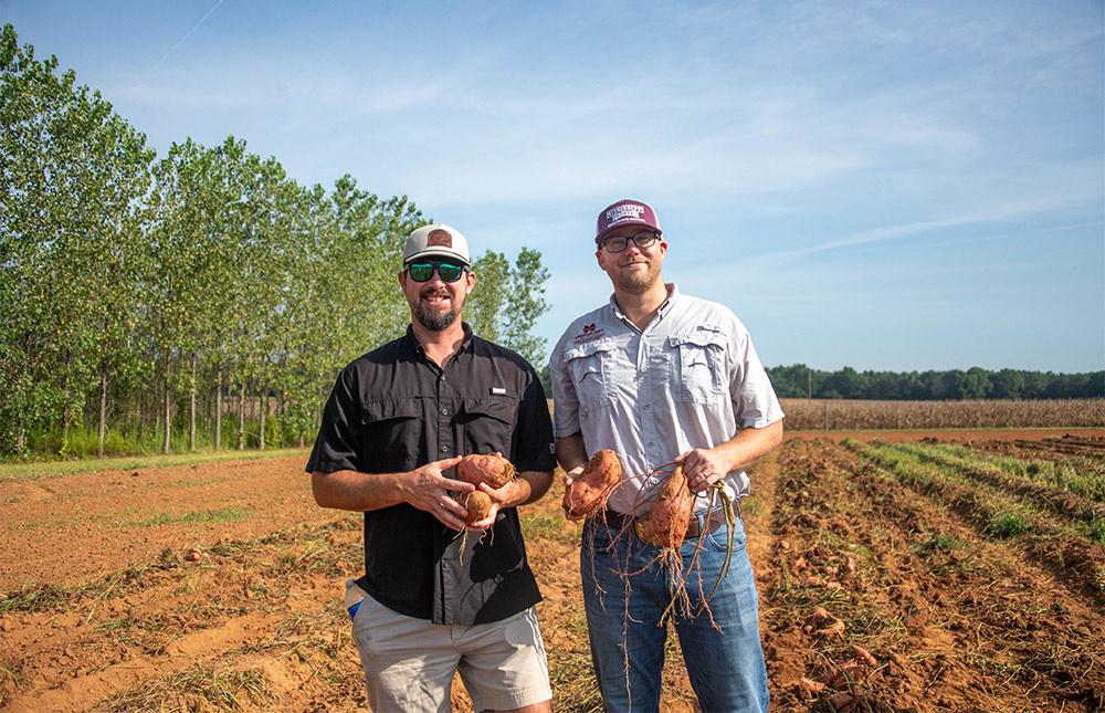 Caleb Englert and Lorin Harvey examine a field of sweet potatoes at the field day.