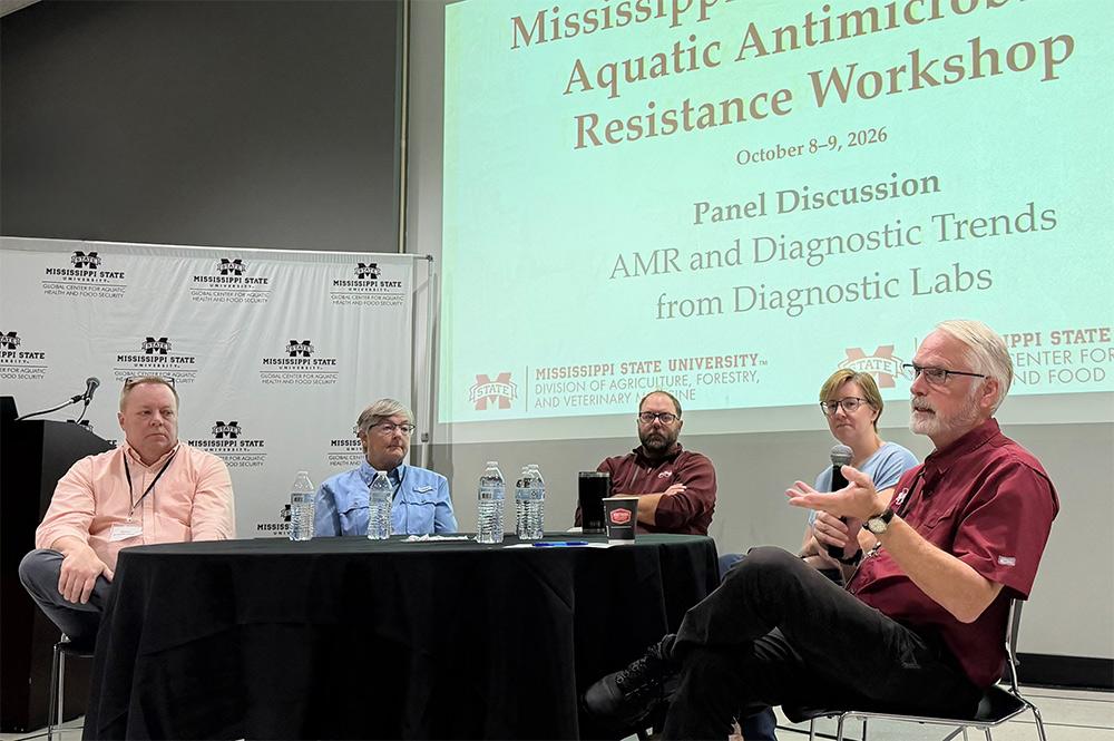 Five panelists during a workshop discussion on antimicrobial resistance