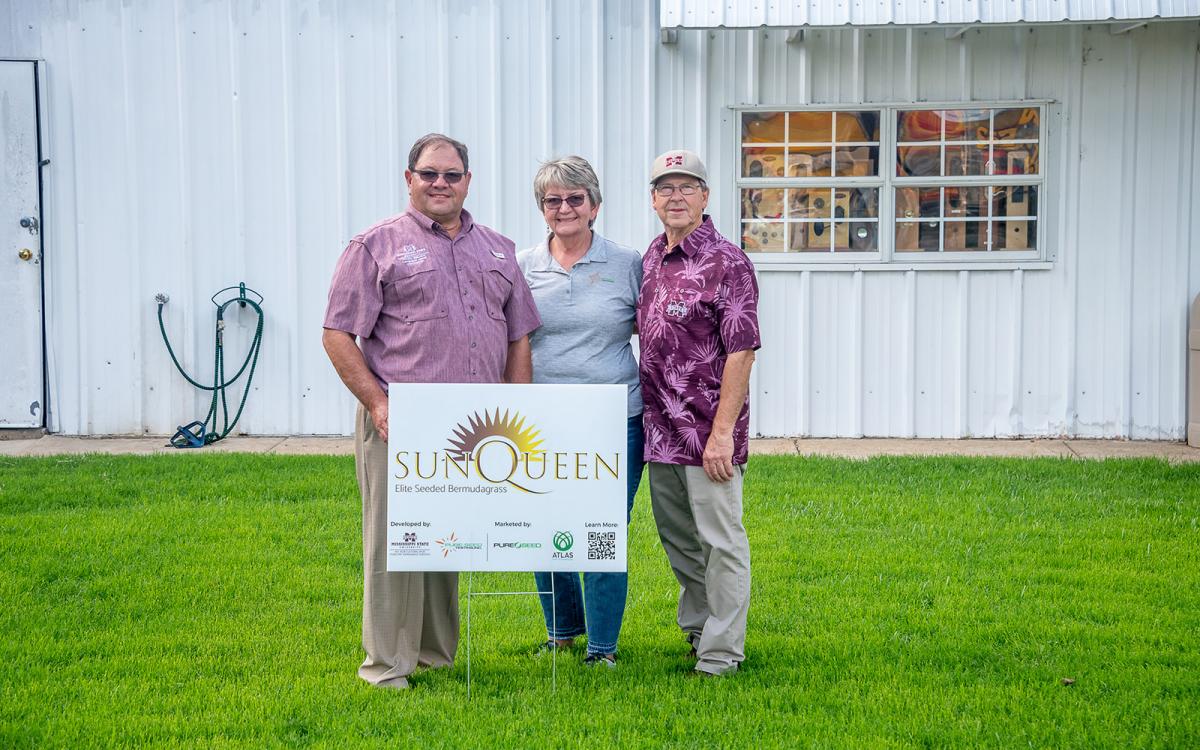 MSUbred turfgrass poised to reign supreme Mississippi State University